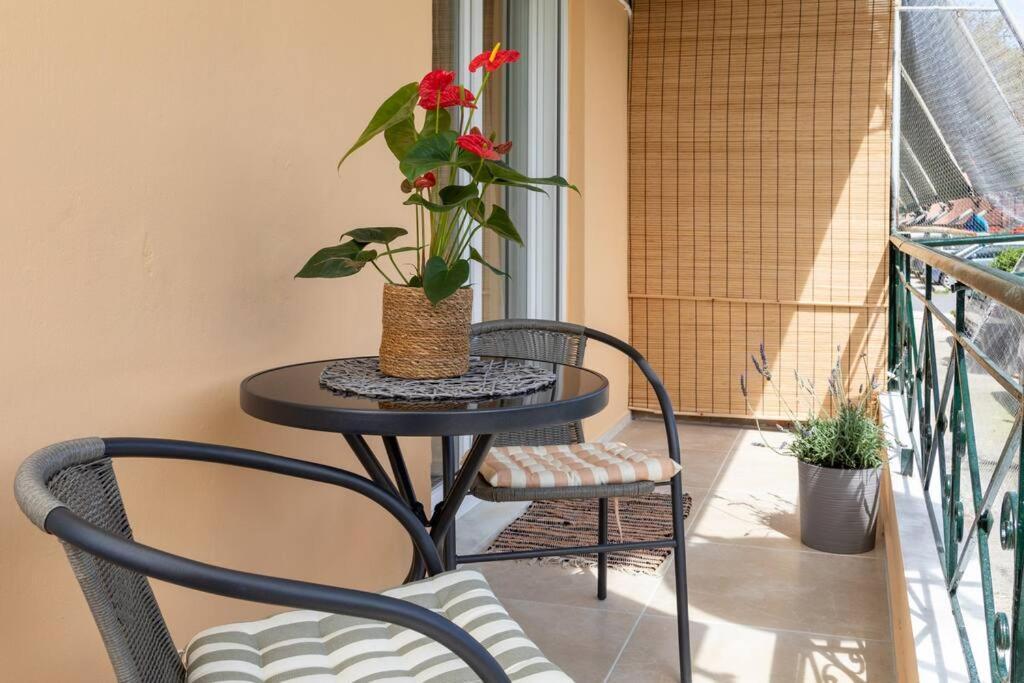 Afrodite'S Cosy And Lovely Apartment Alepou 外观 照片