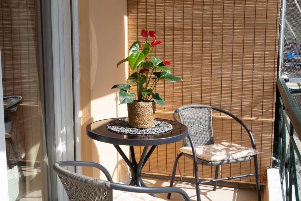 Afrodite'S Cosy And Lovely Apartment Alepou 外观 照片